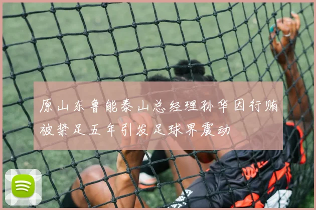 原山东鲁能泰山总经理孙华因行贿被禁足五年引发足球界震动